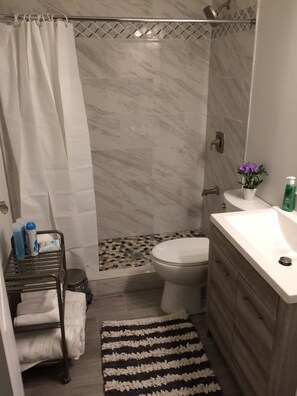 Shower, hair dryer, towels, soap