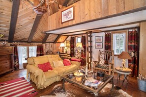 TV, fireplace, DVD player, books
