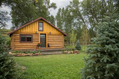 Beautiful Newly Remodeled Log Cabin at Tiny Timbers Resort!