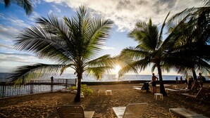 Ein Strand mit Palmen, Liegestühlen und Blick auf den Ozean.