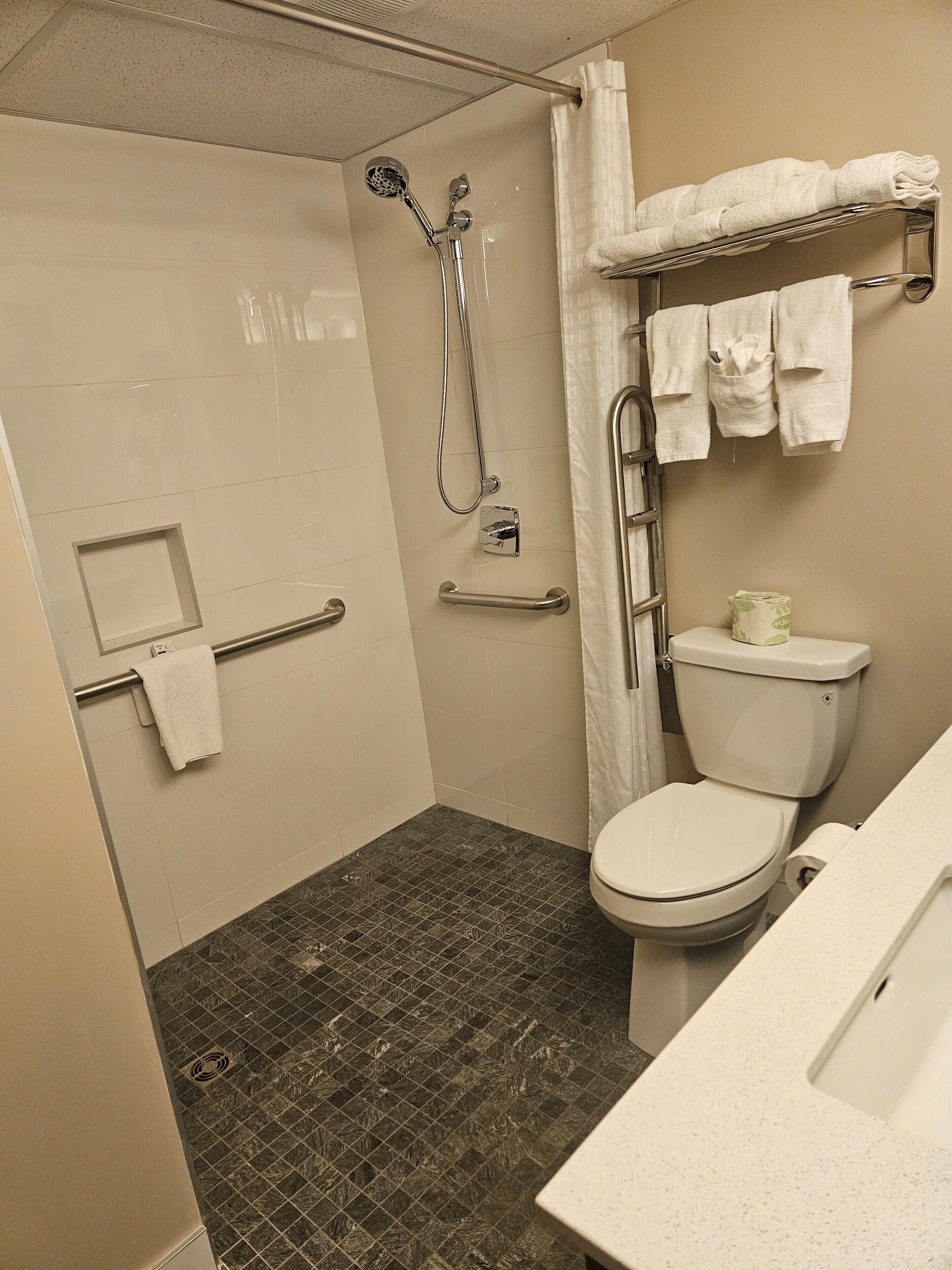 room, 1 king bed, accessible, non smoking (mobility) | bathroom | combined shower/bathtub, towels