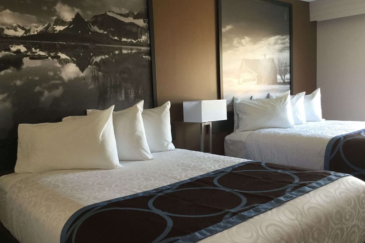 Studio Suite, 2 Queen Beds, Non Smoking, Pool View | Desk, blackout drapes, iron/ironing board, free WiFi