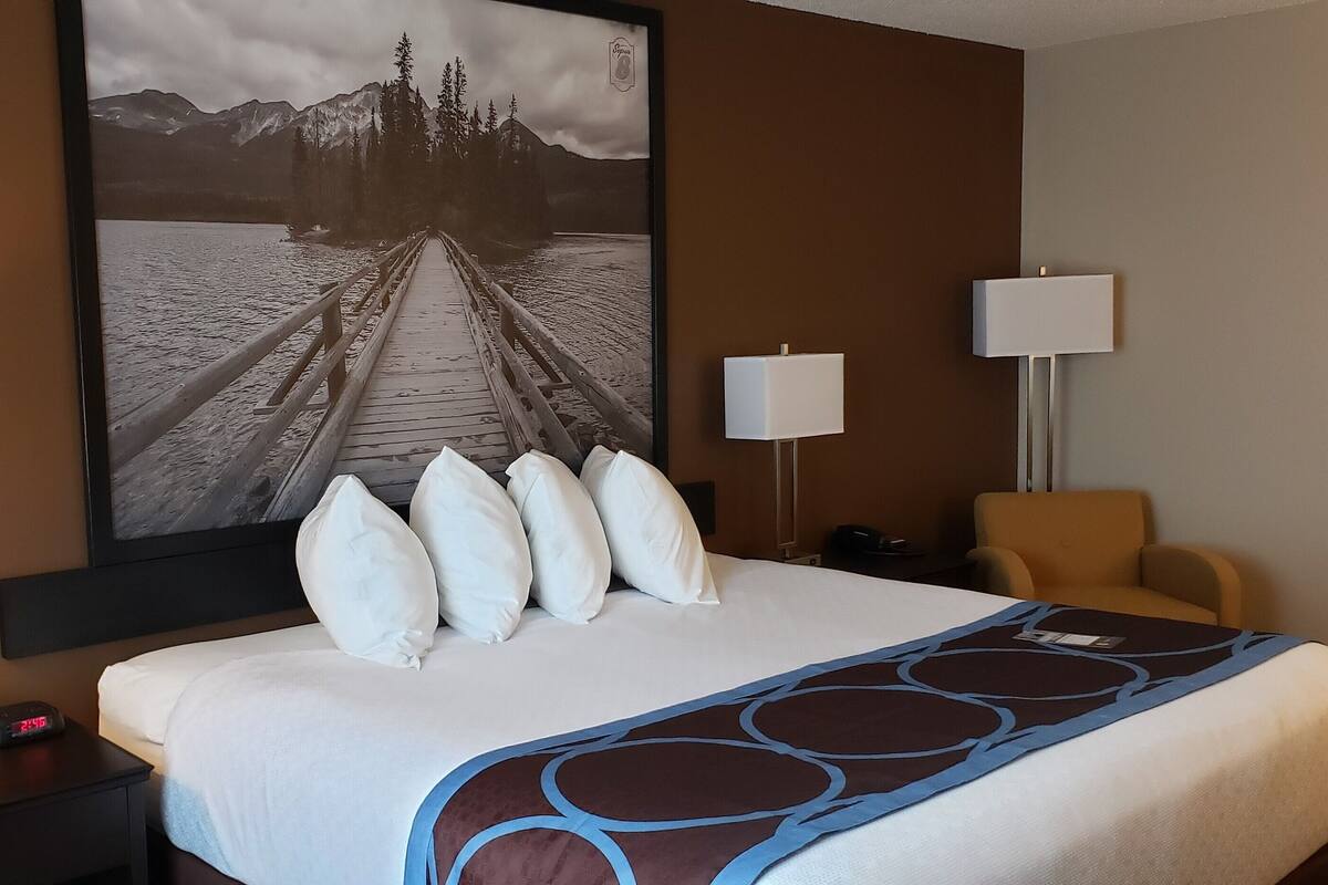 Room, 1 King Bed, Non Smoking | Desk, blackout curtains, iron/ironing board, free WiFi