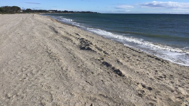 A sandy beach with gentle waves, a clear sky, and distant buildings. - Beachdoc, 300 m to the beach (St. Leonards)