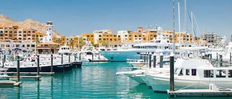 Marina