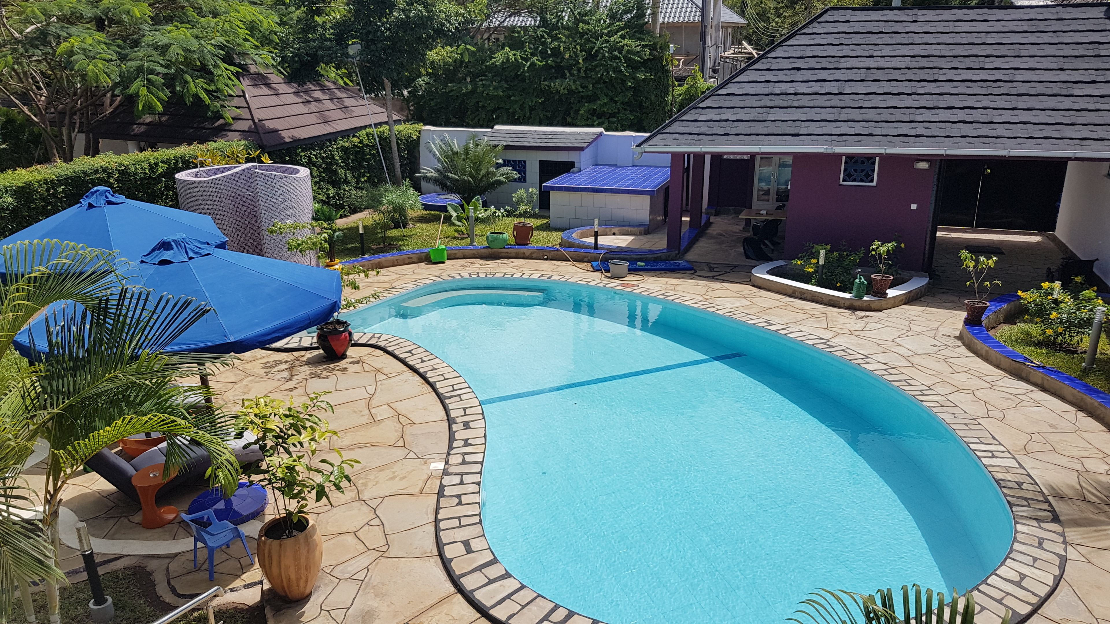 A swimming pool with a curved edge, surrounded by stone tiles and potted plants.
