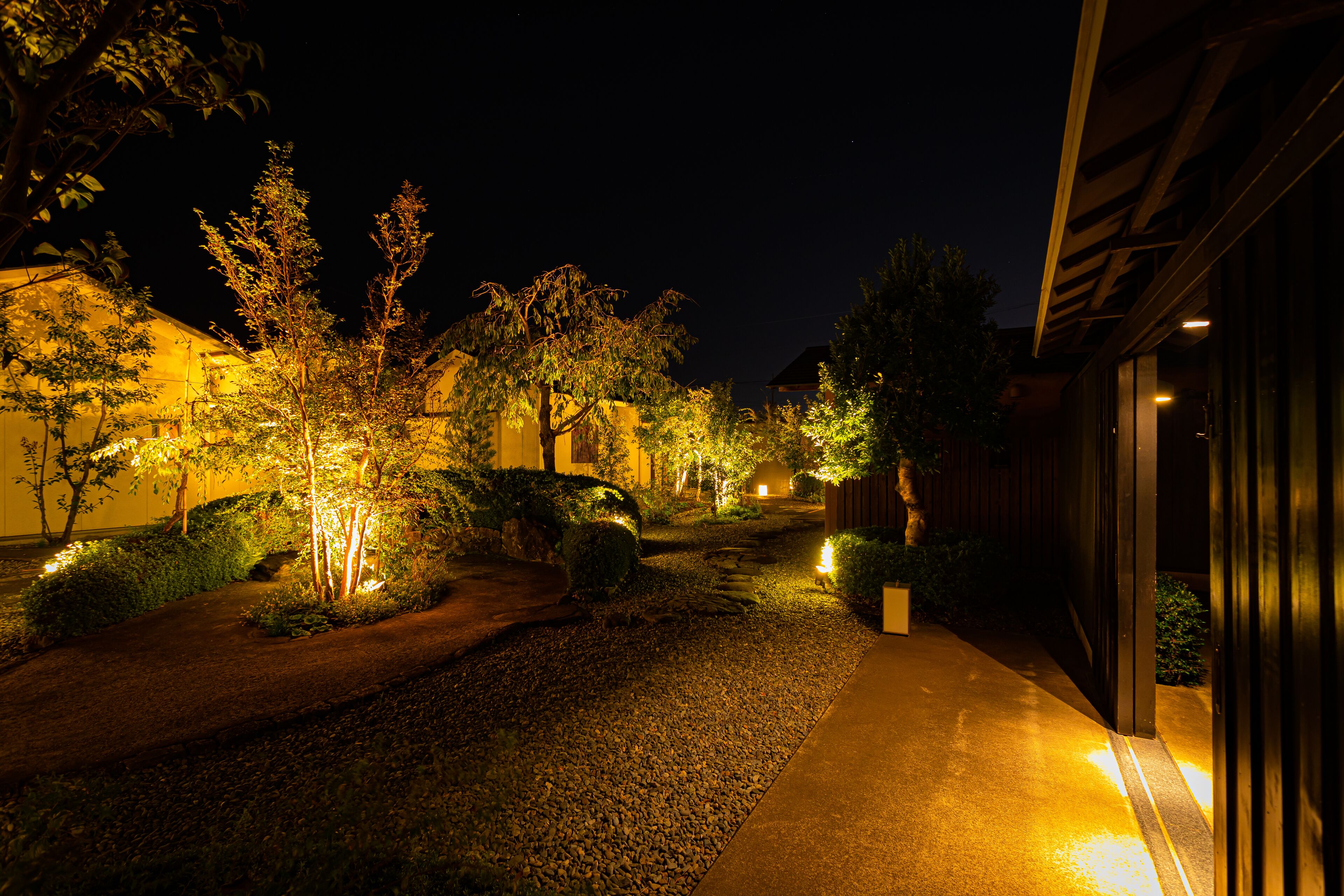 A nighttime view of a landscaped pathway leading to a building with illuminated trees and shrubs.