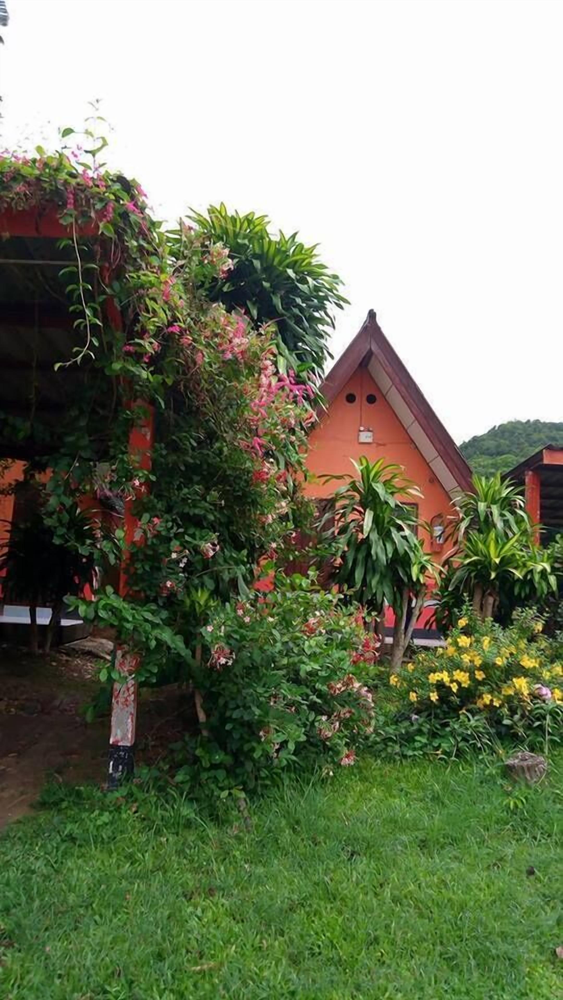 免费 WiFi、床单