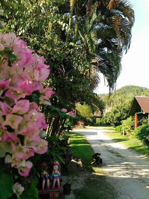 Interior - Nason Resort (Thoeng)