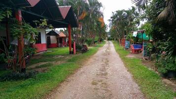 A rural road flanked by buildings with red and white exteriors, surrounded by lush greenery and palm trees.