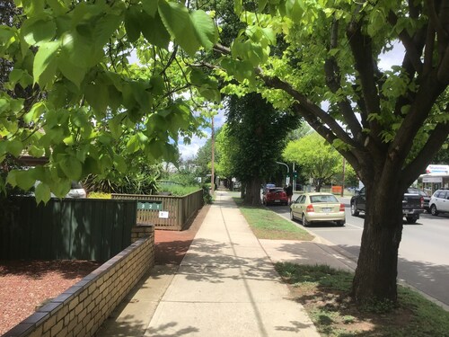 El Grantiano, Baco Pantano