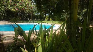 Outdoor pool - Chameleon Villa with pool  (Malindi)