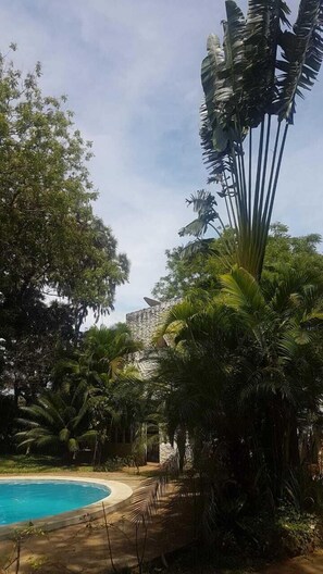 Outdoor pool - Chameleon Villa with pool  (Malindi)
