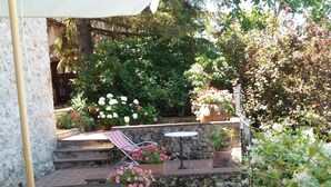 A patio area with a table and chairs, a small garden with various plants and flowers, and a stone wall.