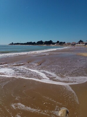 Plage, chaises longues