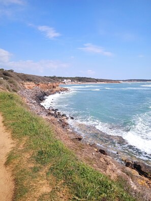 Plage, chaises longues