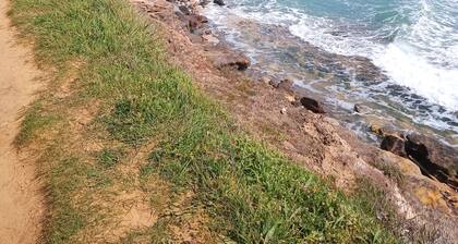 Vendée pays de Loire 400m de la plage .6 Vélos à disposition. France