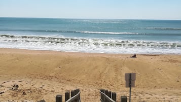Plage, chaises longues