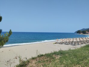 Una playa con una fila de tumbonas y sombrillas, cielo despejado y mar tranquilo.