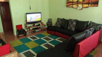 Televisión, reproductor de DVD, libros y biblioteca musical