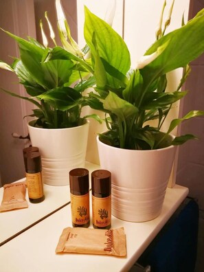 Ducha, artículos de higiene personal gratuitos y secador de pelo