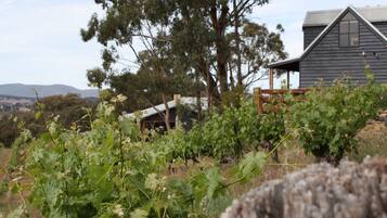 Land view from property