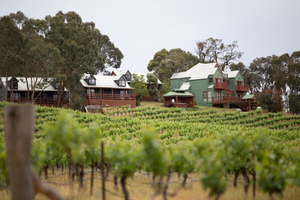 View from property - Warrenmang Winery and Resort (Moonambel)