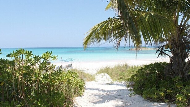 A sandy beach path leading to a beach with clear turquoise water and a palm tree. - Newly Updated Beach House @ Famous French Leave Bch, Htd Pool, Paddle Boards (Governors Harbour)