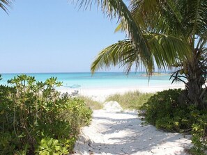Un sentier de sable qui longe la plage et mène à une étendue d’eau turquoise et limpide, bordée d’un palmier.