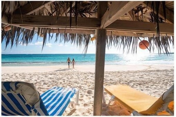 Welcome to Cayo Loco!
