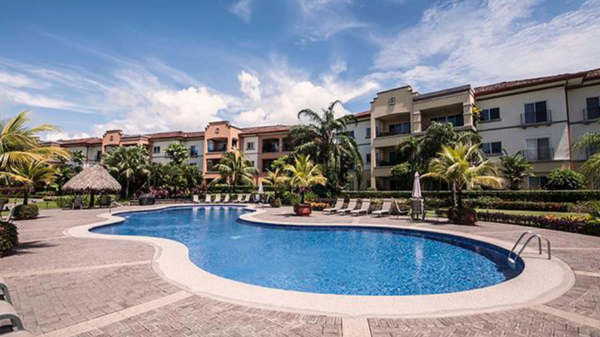 Piscina com borda curva, rodeada por espreguiçadeiras e palmeiras, com um edifício ao fundo.