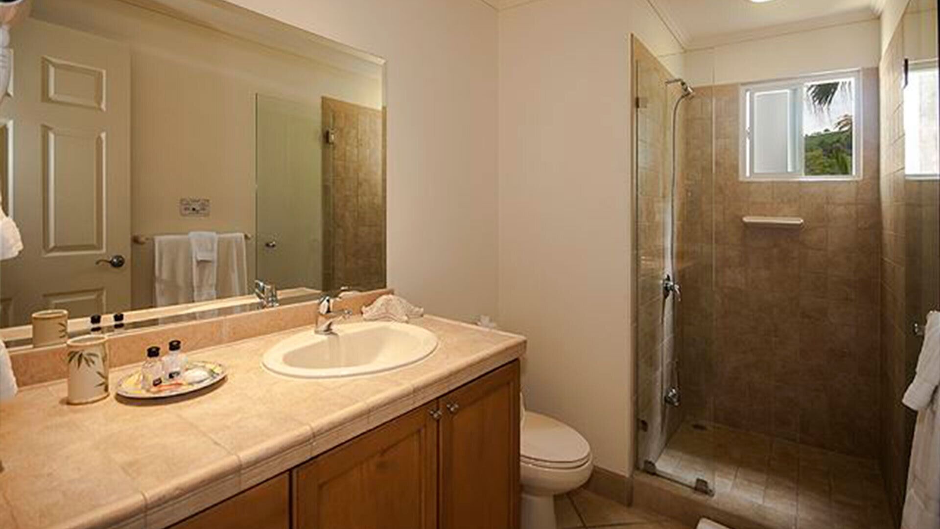 Une salle de bain avec un meuble-lavabo à deux vasques, des toilettes et une douche à parois de verre.