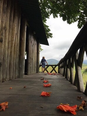 المنطقة المحيطة بالمنشأة