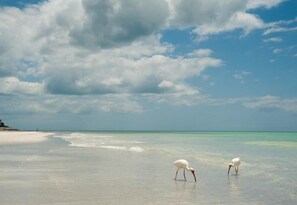En la playa, camastros y toallas de playa 