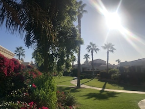 A sunny courtyard with palm trees, a lawn, and a building with a tiled roof.