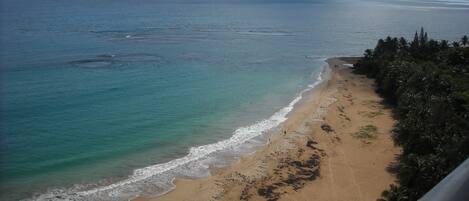 A beach with clear turquoise waters, a sandy shore, and a line of trees in the foreground.