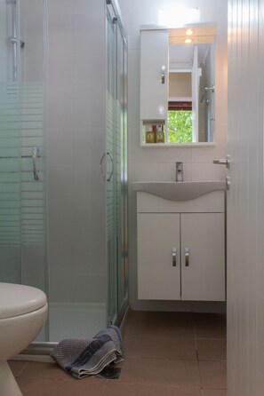 Shower, free toiletries, hair dryer