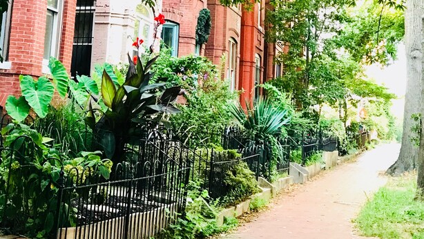 A brick building with large windows and a pathway lined with greenery and a black wrought iron fence.