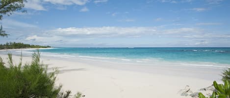 Una spiaggia nelle vicinanze