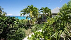 Un jardin tropical avec des palmiers et une vue sur l’océan.
