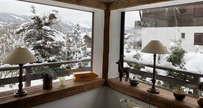 APPARTEMENT DE CHARME, TRES ENSOLEILLE AU PIED DU JAILLET