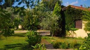 Un chemin de jardin menant à un bâtiment doté d’un toit en tuiles, entouré d’une végétation luxuriante et d’arbres.
