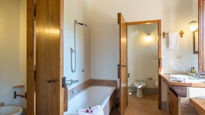 Bathtub, hair dryer, bidet, towels