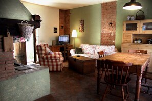 TV, fireplace, books