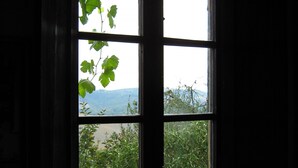 Une fenêtre donnant sur un paysage verdoyant et des montagnes.