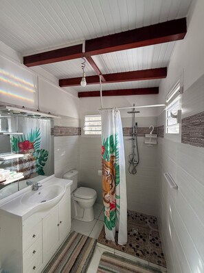 Douche, serviettes fournies