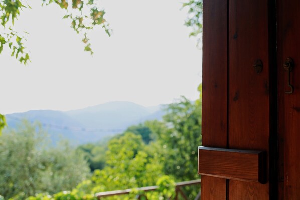 A wooden door with a view of a mountainous landscape.