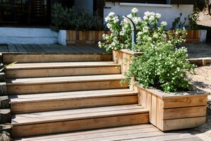 Property grounds - Beautiful house, heated private pool, near ocean and lake, sleeps 10 (Lacanau)