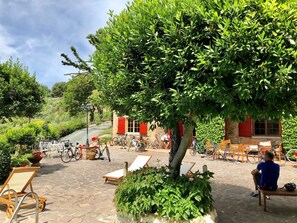 Terrace/patio - Your Perfect Tuscan Retreat for Families and Friends (gambassi terme)