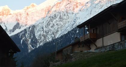 2 bedroom Ski and Summer apartment in Les houches.